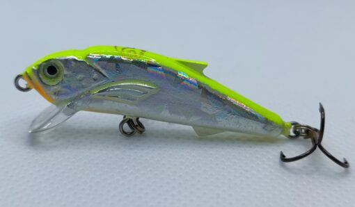 Iris - Image 3